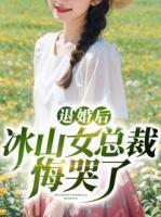 退婚後冰山女總裁悔哭了