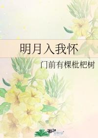 明月入我懷