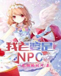 我老婆是NPC