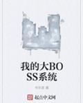 我的大BOSS系統